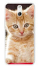 Foto Case HTC ONE E8 rudy kot