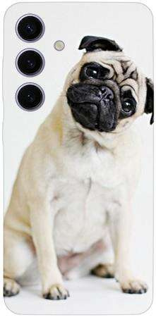 Foto Case Samsung Galaxy S24 zaintrygowany mops