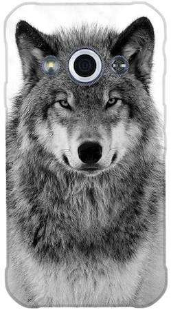 Foto Case Samsung Galaxy Xcover 3 spokojny wilk
