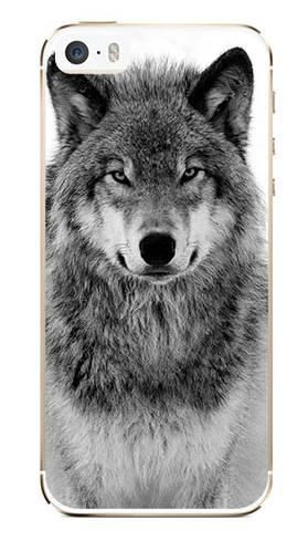 Foto Case Apple iPhone 5 /5S spokojny wilk