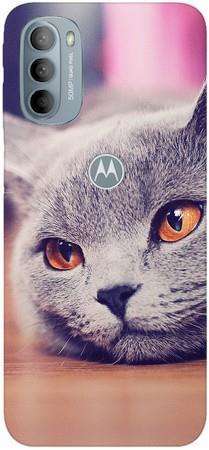 Foto Case Motorola Moto G31 / Moto G41 lazy cat