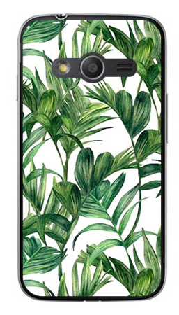 Foto Case Samsung GALAXY TREND 2 LITE G318h liście tropikalne