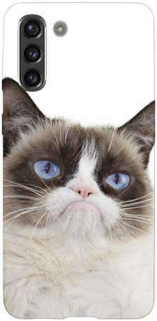 Foto Case Samsung Galaxy S21 grumpy cat