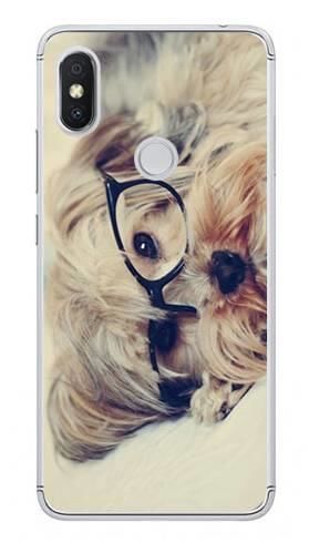 Foto Case Xiaomi Redmi S2 pies w okularach