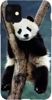 Foto Case Apple iPhone 11 panda na drzewie
