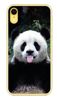 Foto Case Apple iPhone XR śmieszna panda