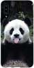 Foto Case Samsung Galaxy A20s śmieszna panda