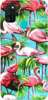Foto Case Samsung Galaxy M21 flamingi i palmy