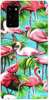 Foto Case Samsung Galaxy Note 20 flamingi i palmy